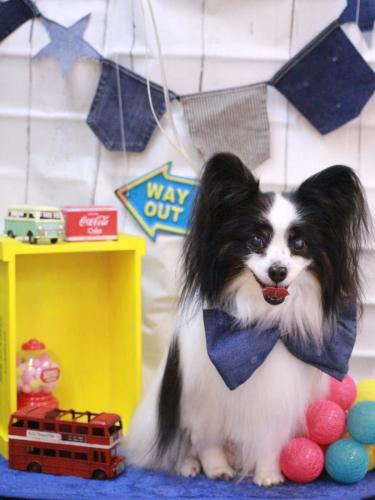 20230401ととくん